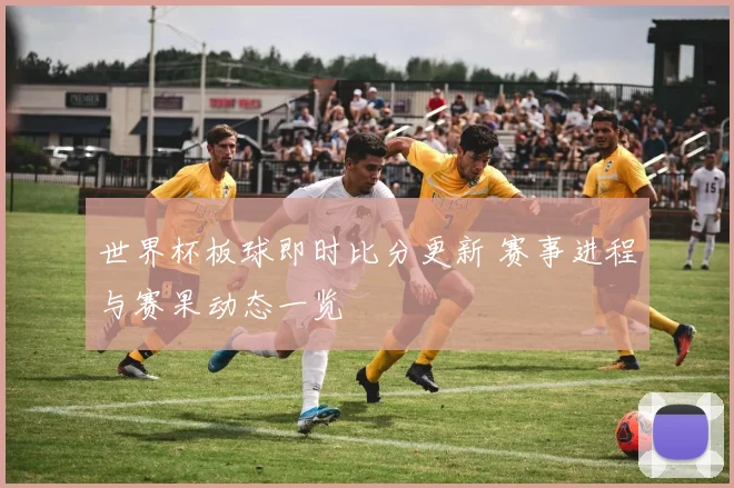 世界杯板球即时比分更新 赛事进程与赛果动态一览