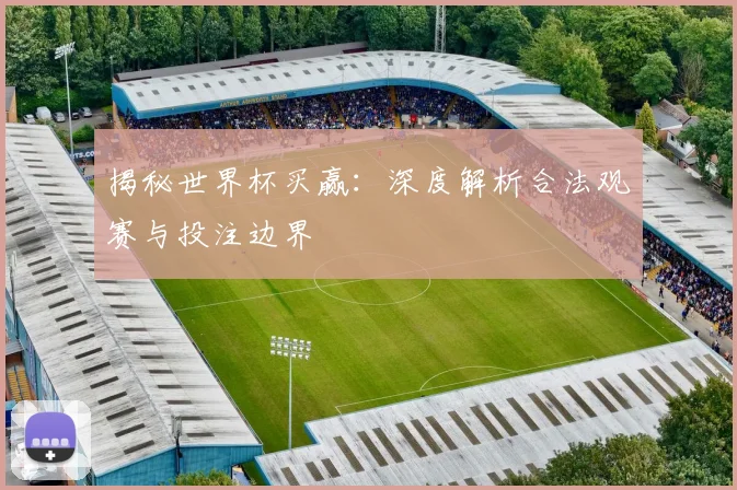 揭秘世界杯买赢：深度解析合法观赛与投注边界