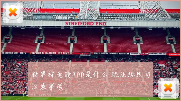 世界杯竞猜App是什么 玩法规则与注意事项