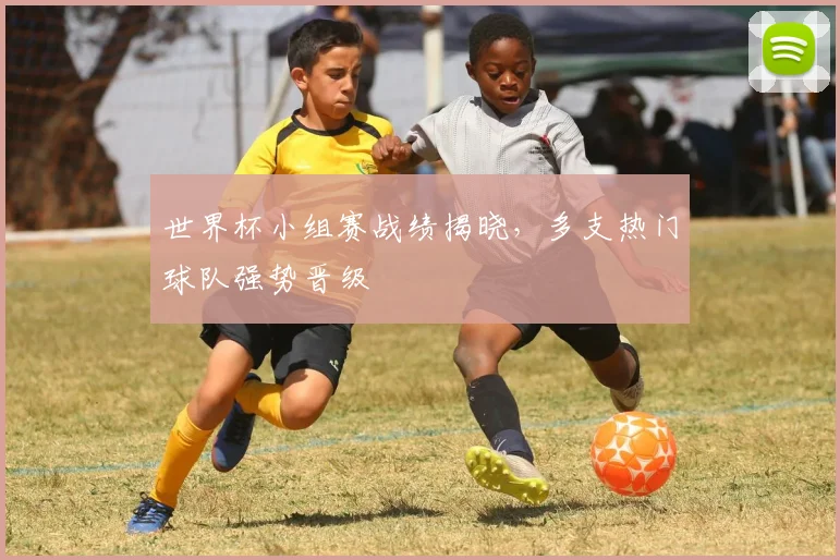 世界杯小组赛战绩揭晓，多支热门球队强势晋级