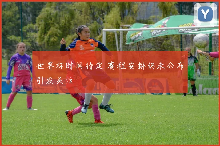 世界杯时间待定 赛程安排仍未公布引发关注